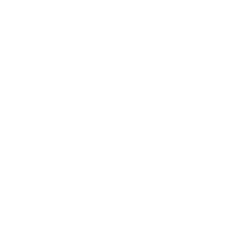 El Luchador