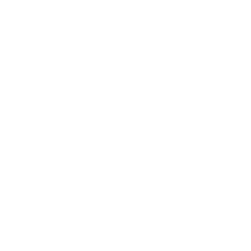 L‘ Artista