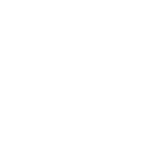Topden – Roots of Himalaya