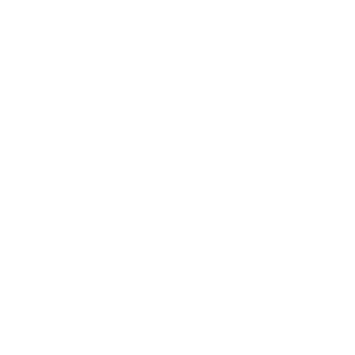 Exer Bar