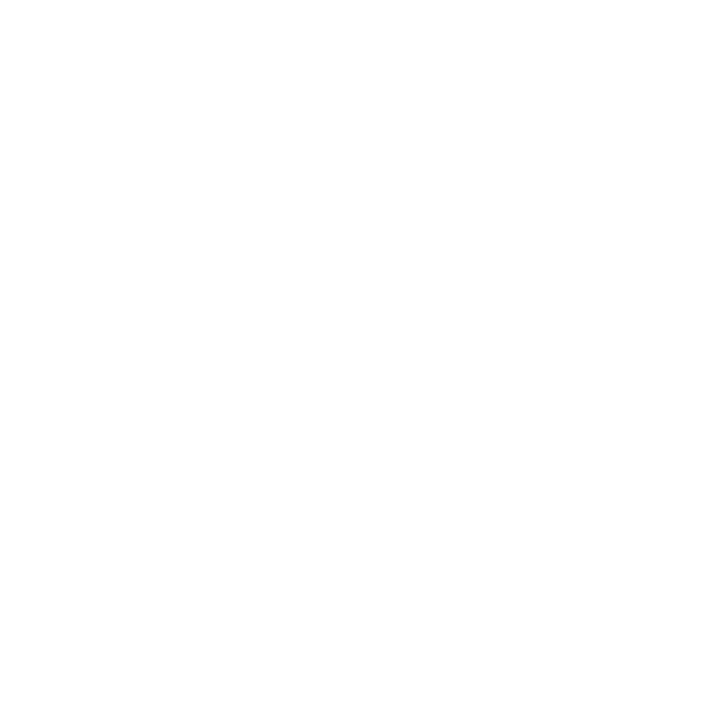 House of Momos